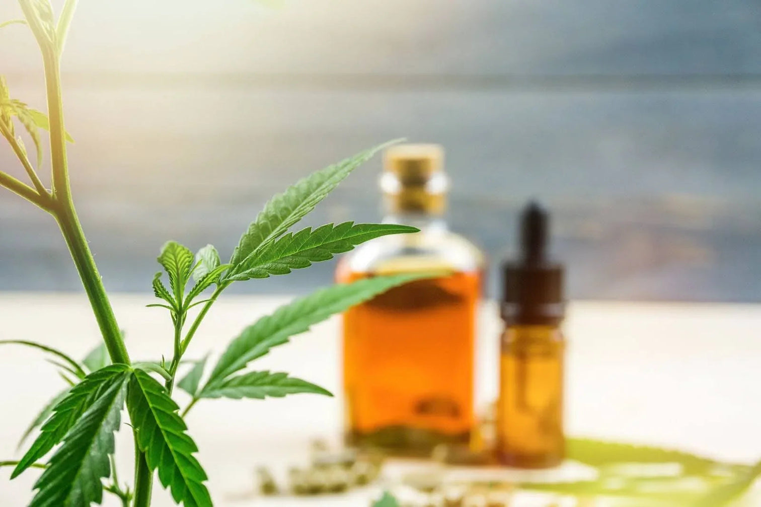 What Full-Spectrum, Broad-Spectrum, and Isolate CBD Terminology Really ...