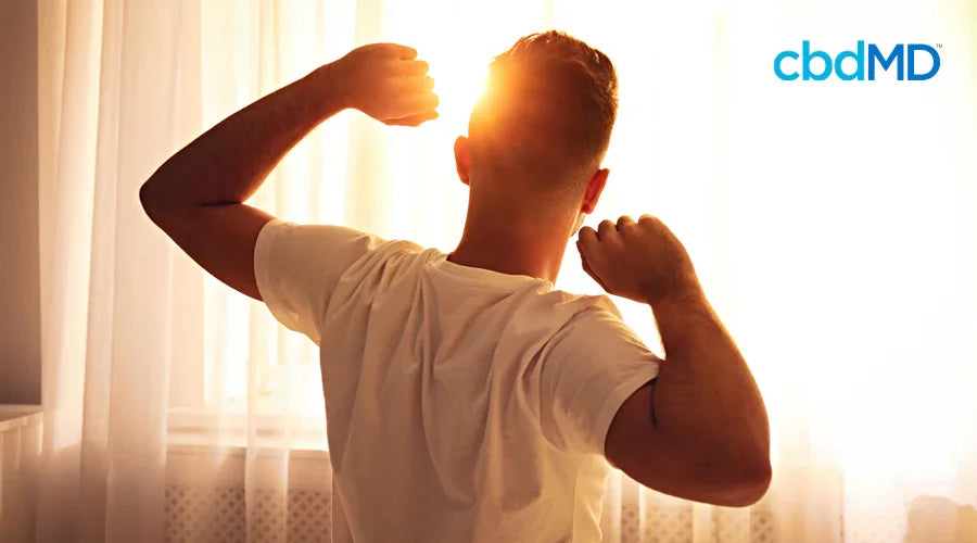 How CBD PM Helps You Maintain A Healthy Routine - cbdMD