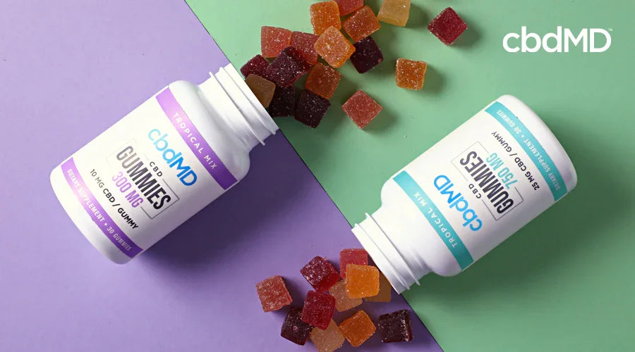 Colorful CBD gummies spilling from two labeled bottles on pastel background