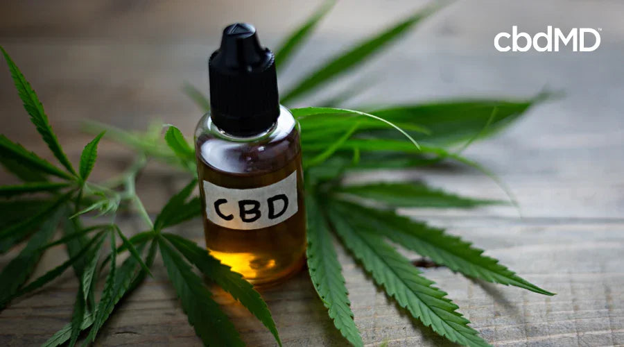 How to Spot Fake CBD Oil and Protect Yourself from Scammers - cbdMD