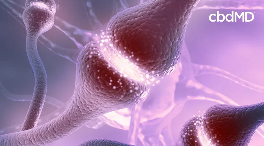 Close-up illustration of neural synapses with glowing signals on a purple background