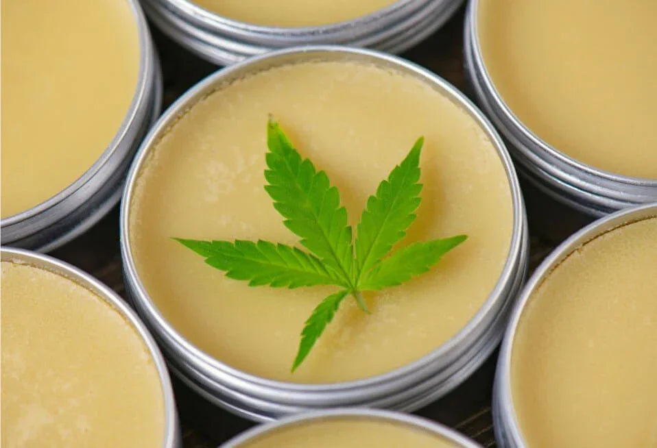 Top view of herbal balm tin with green hemp leaf, natural CBD topical product