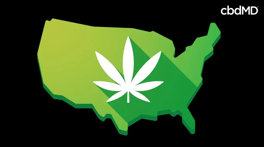 A graphic with a marijuana leaf on the united states - cbdMD
