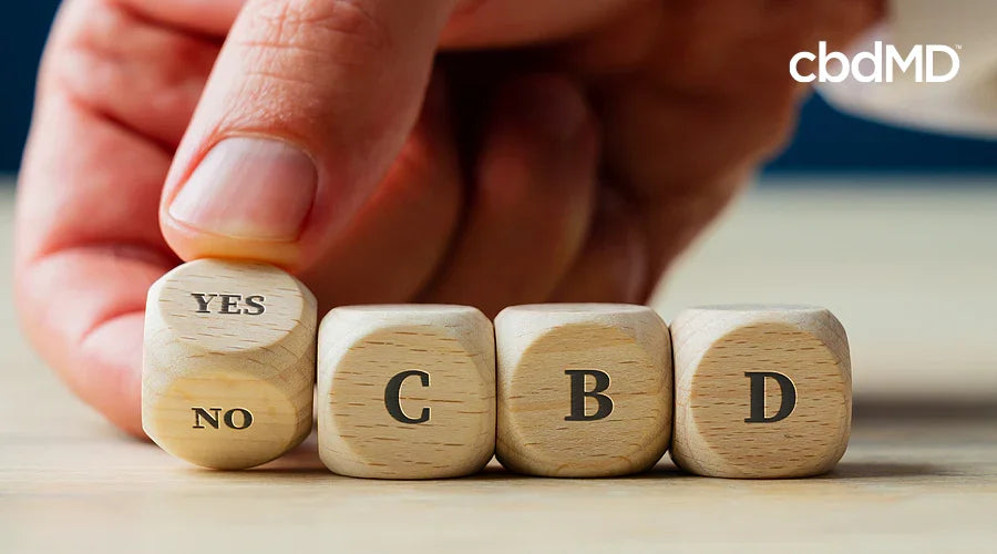Hand flipping wooden dice showing yes or no beside blocks spelling CBD on table