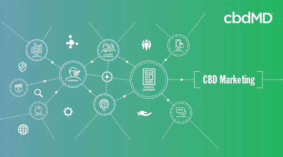 Infographic with diagram icons related to CBD marketing strategies on a green gradient background.