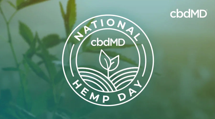 National Hemp Day logo over hemp plant background with cbdMD text