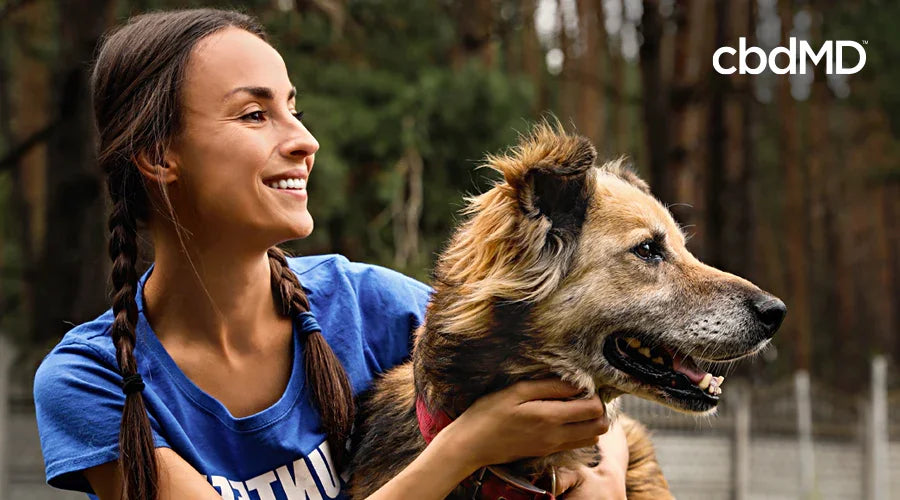 Tips for New Pet Adoption & Care - cbdMD