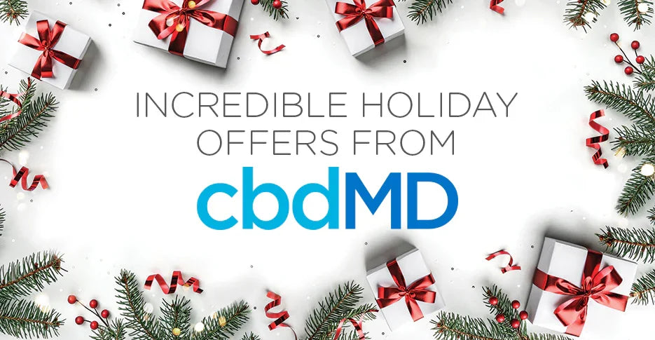 Last Chance for Pre-Holiday Delivery - cbdMD