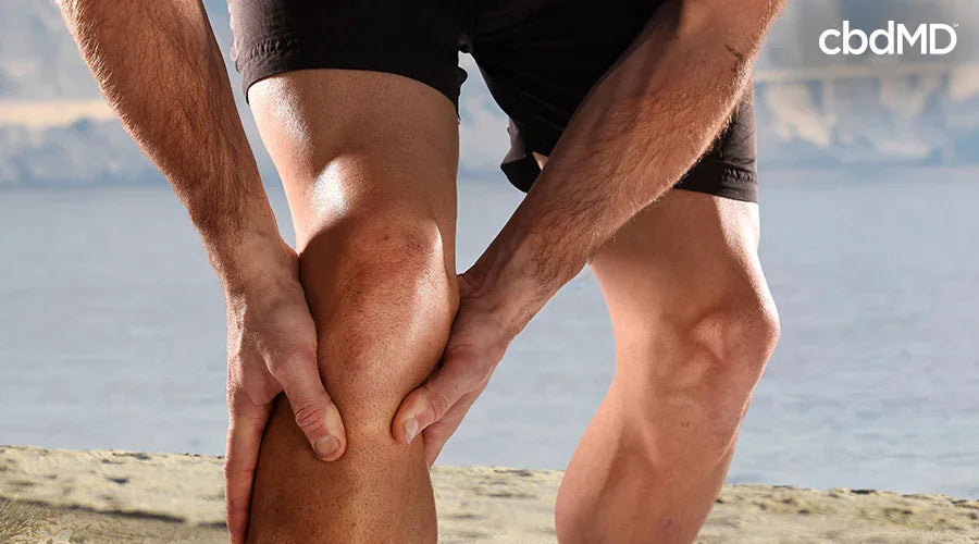 CBD for Muscle Pain - cbdMD