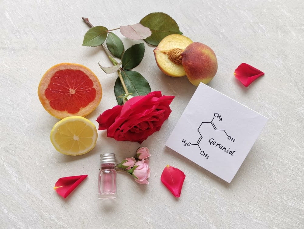 grapefruit, roses, lemons and peaches on a white counter