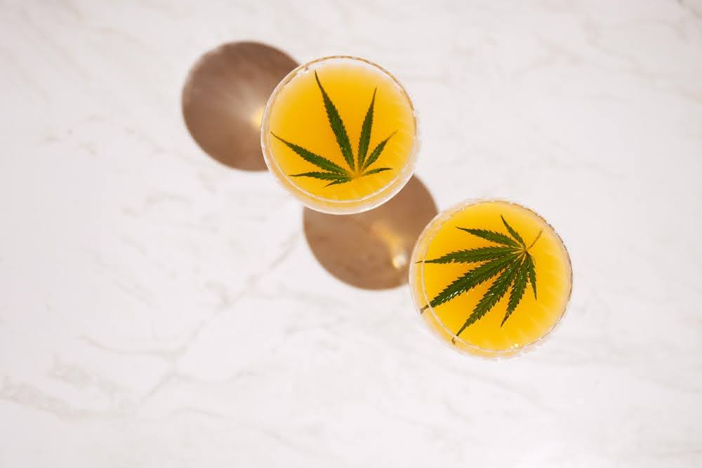 Two yellow CBD-infused drinks with hemp leaves on top, displayed on a marble surface