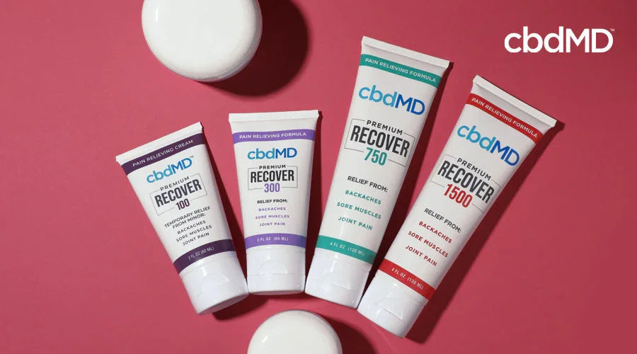 Four cbdMD Premium Recover topical creams for pain relief displayed on a pink background.