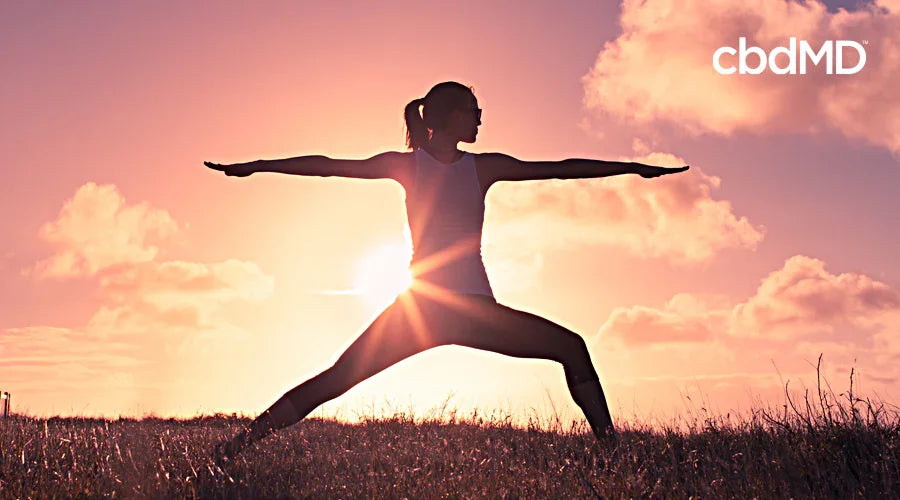 How Vitamins, Minerals, and CBD Can Support Optimal Health - cbdMD