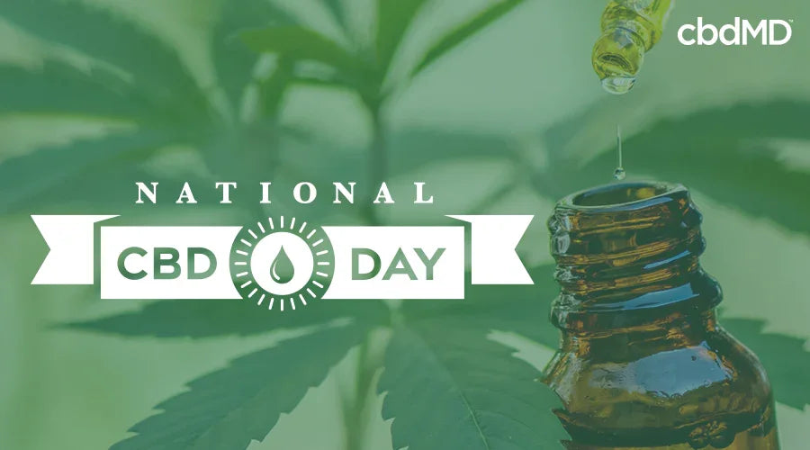 A graphic that says national cbd day with marijuana leaves and a cbd oil dropper bottle in the background - cbdMD