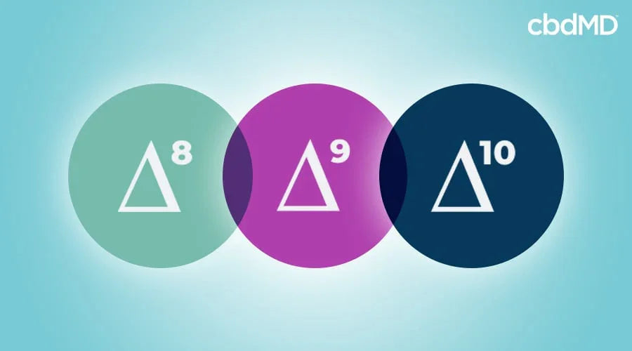 A graphic with three circles that contain delta 8 delta 9 and delta 10 symbols in them - cbdMD