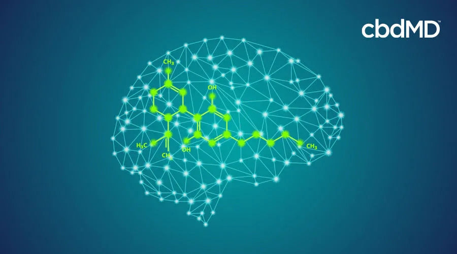 Digital brain network with CBD molecule structure, blue background, cbd science concept