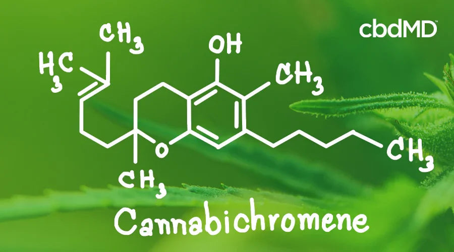 Cannabichromene CBC molecule structure on green cannabis leaf background