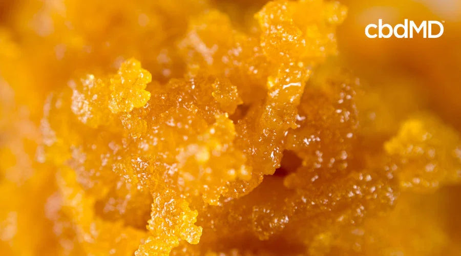 closeup of cbd isolate