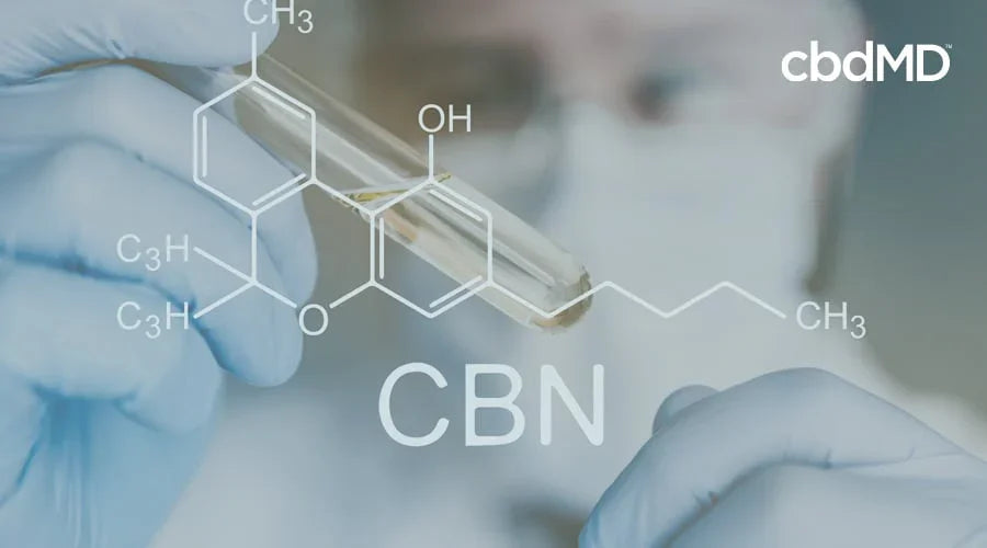 Gloved scientist holding test tube with CBN molecule diagram and chemical formula overlay