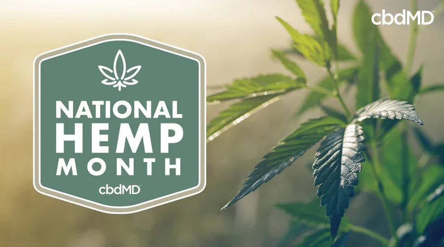National hemp month logo with hemp plants in the background - cbdMD