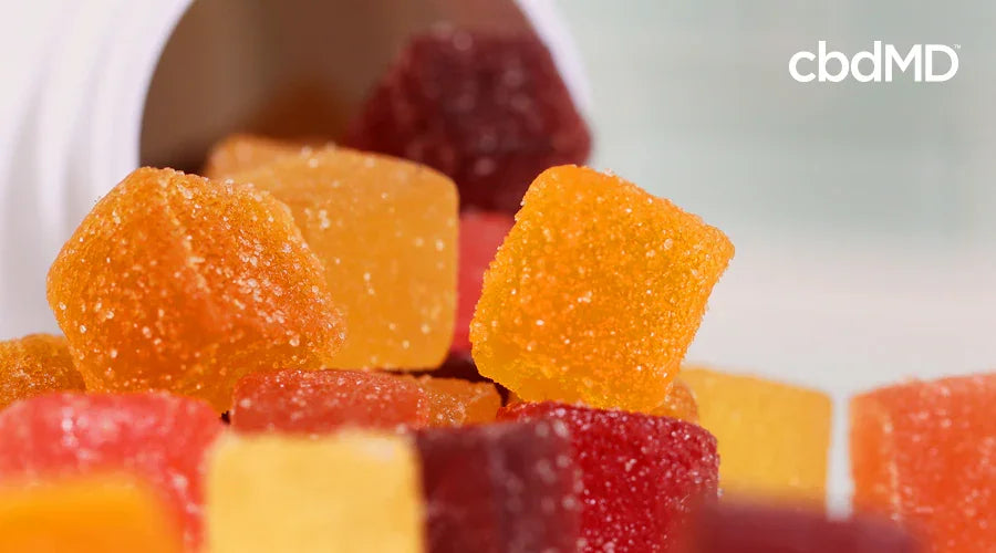 Why CBD Gummies are the Best Way to Take CBD - cbdMD