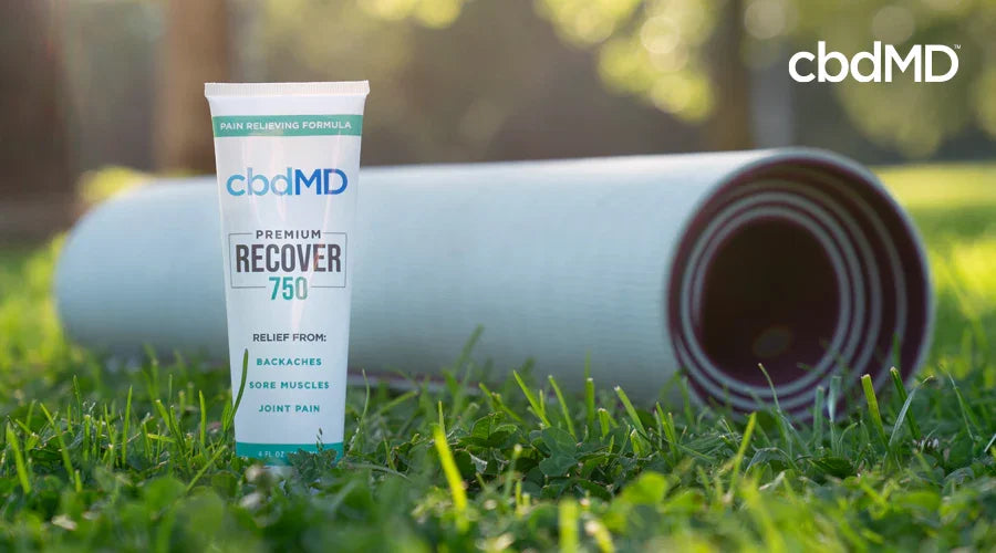 Why cbdMD Recover Works for Any Lifestyle - cbdMD