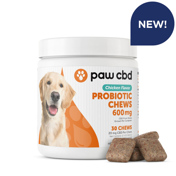Hemp chewz for dogs outlet
