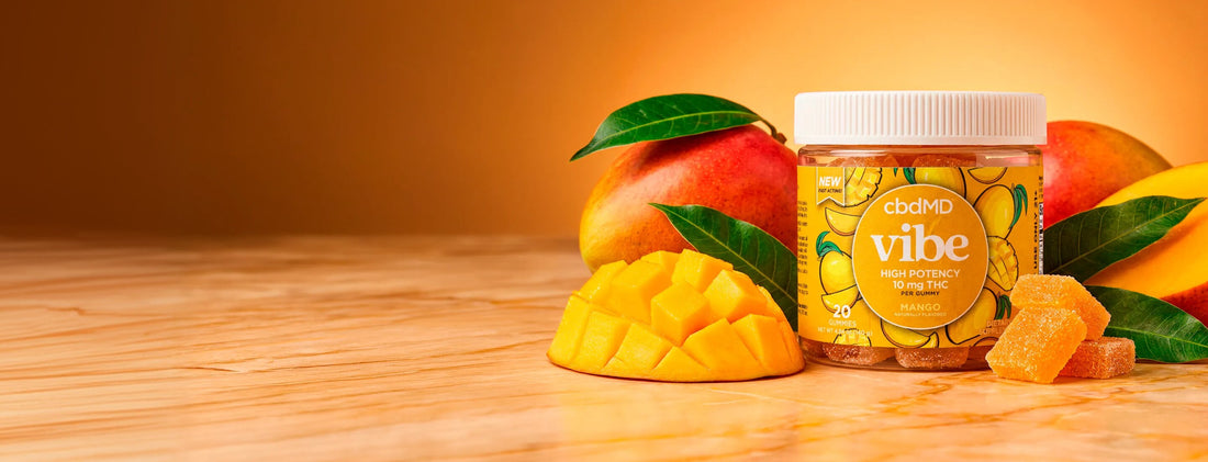 High Quality CBD Products for Wellness & Relief | cbdMD High Quality CBD Products for Wellness & Relief | cbdMD