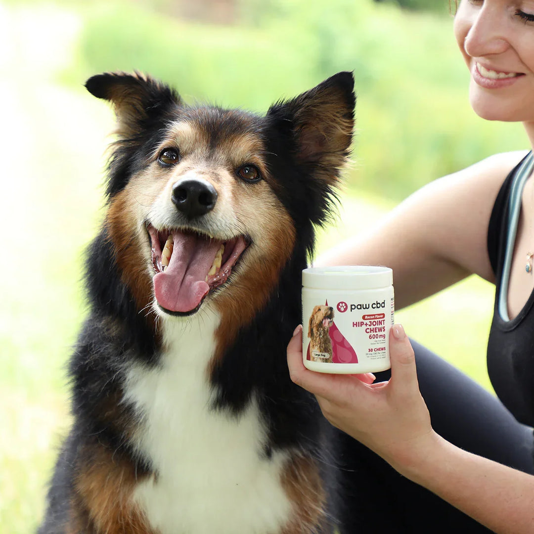 CBD for Dog Joint Pain, Hip & Joint Supplements cbdMD